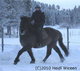 Heidi ja Esko loppiaisen pakkass��ss�