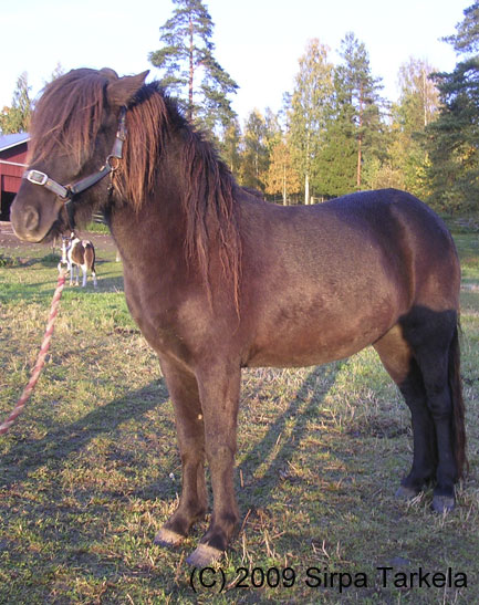 H�dd lokakuussa 2009