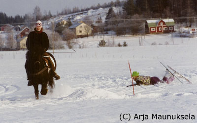Minna Toivonen / Kitla frá Borgnäs ja Leena Toivonen hiihtoesteratsastuskisoissa n. vuonna 1992