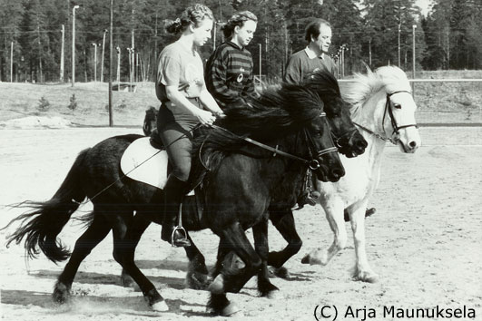 Ratsatusnäytös 90-luvun alussa: Minna Toivonen / Kitla frá Borgnäs,Anna Sorsa / Hrönn frá Hrepphólum ja Acke Perander / Héla frá Skarði